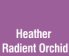 Heather Radient Orchid